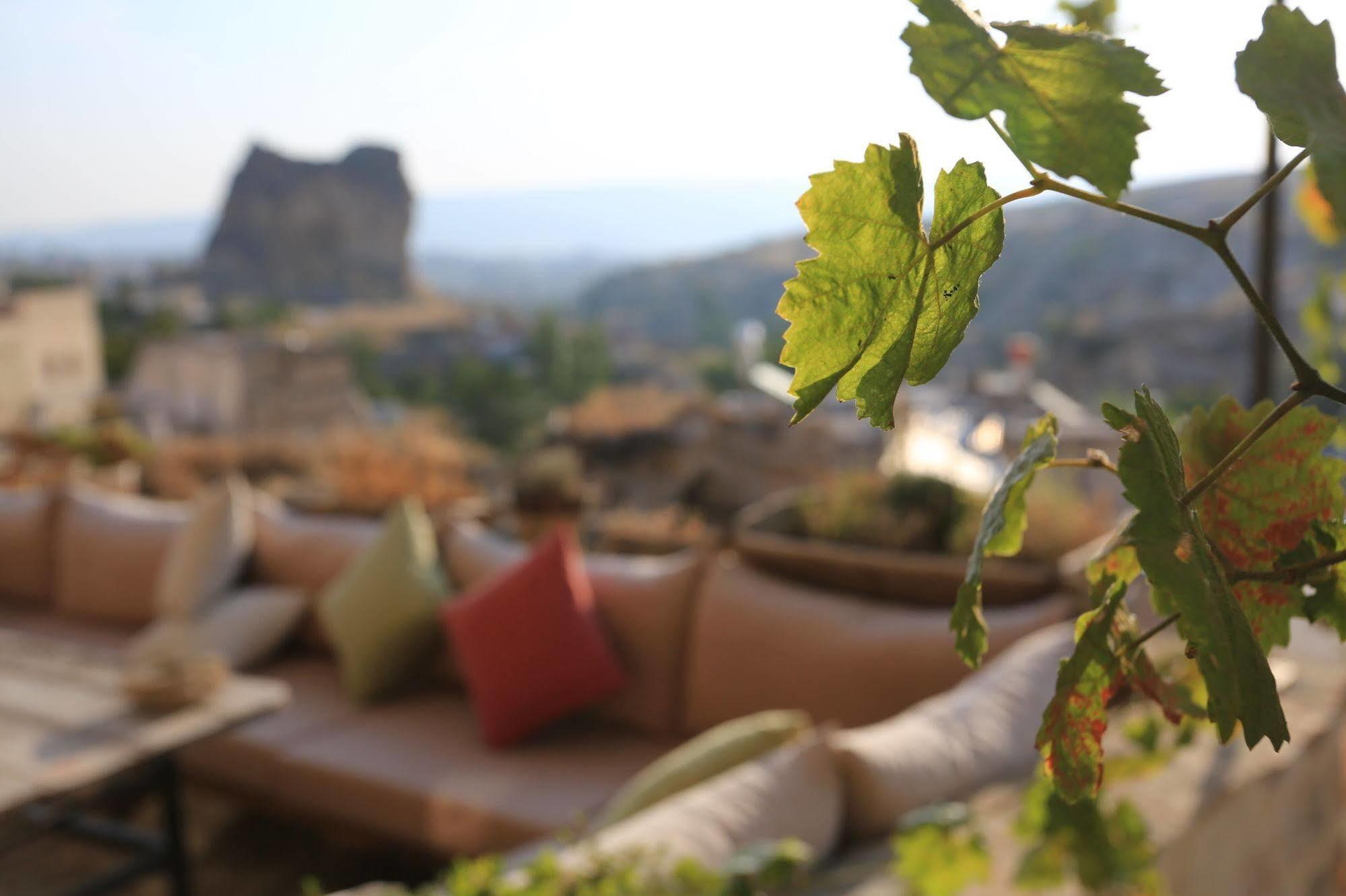 أورتاحصار Anitya Cave House Apart Hotel المظهر الخارجي الصورة