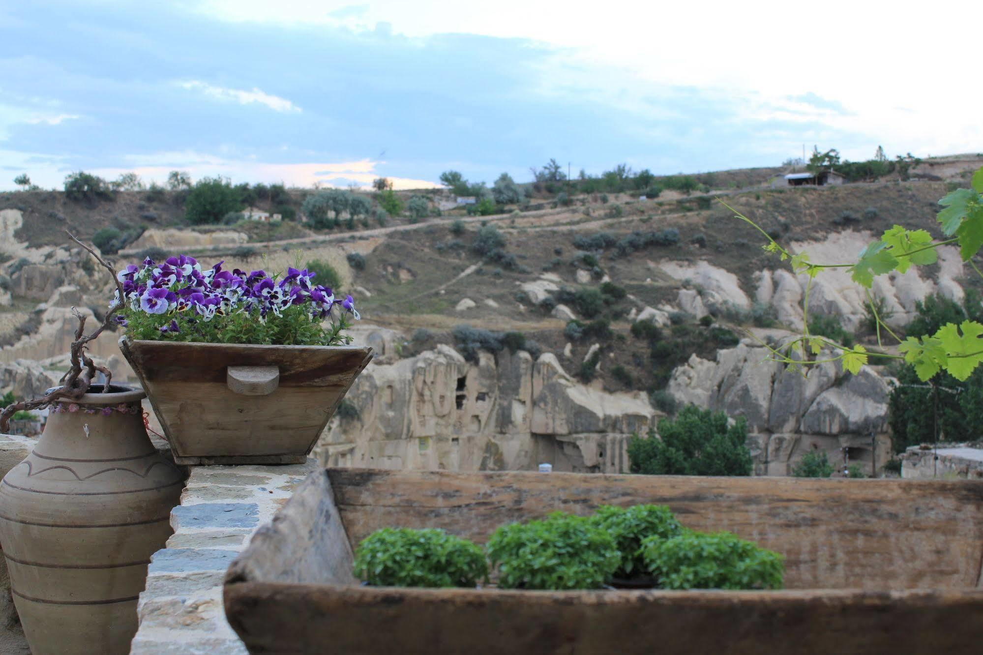 أورتاحصار Anitya Cave House Apart Hotel المظهر الخارجي الصورة