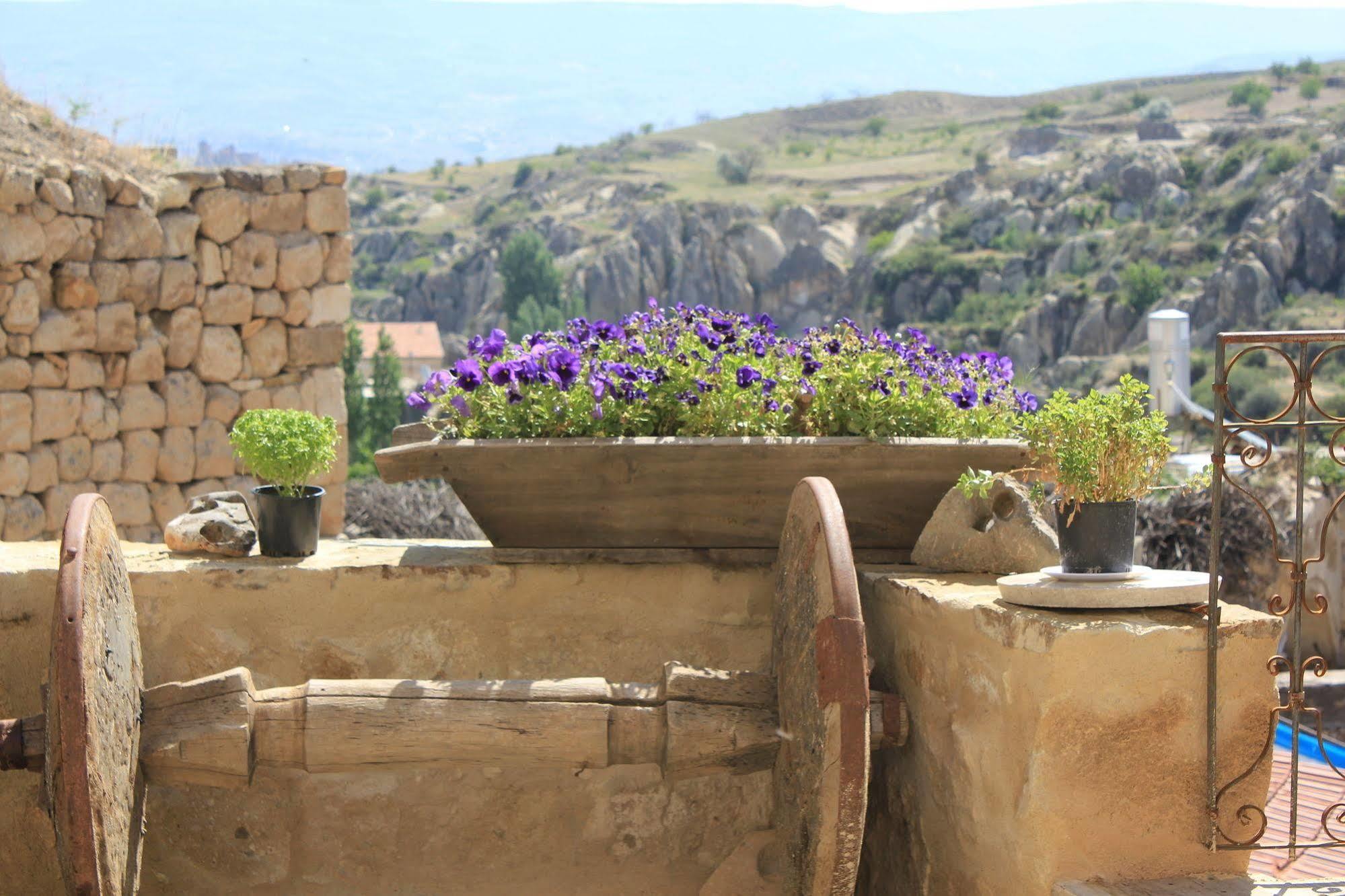 أورتاحصار Anitya Cave House Apart Hotel المظهر الخارجي الصورة
